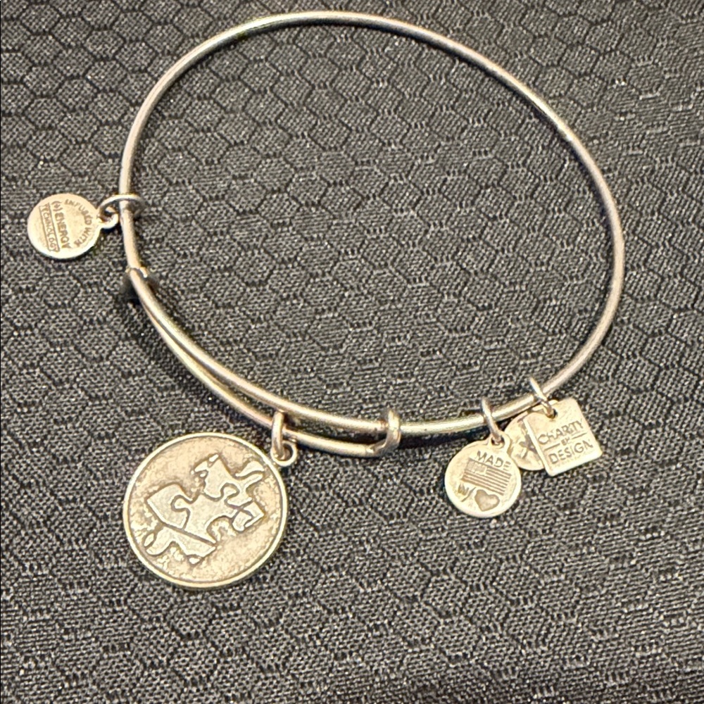 Alex and Ani  autism bracelet in silver 2003